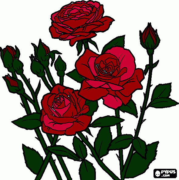 Rose and Buds coloring page