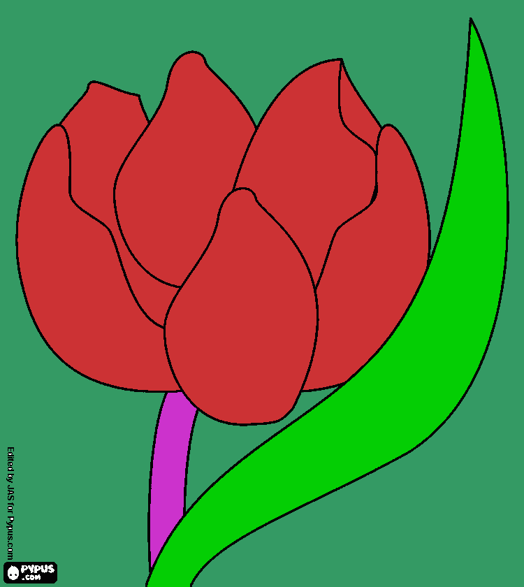 rose of heaven coloring page