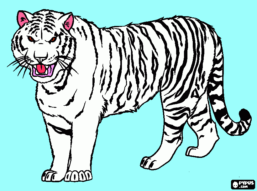 siberian-tiger-or-amur-tiger- coloring page