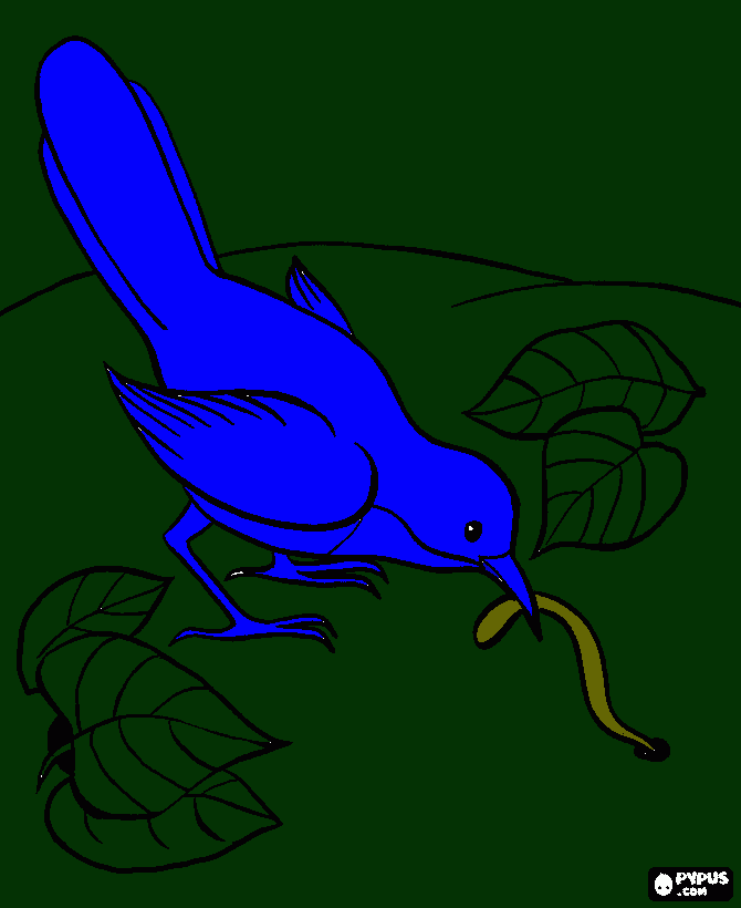 sligos bird. dont' have to print coloring page