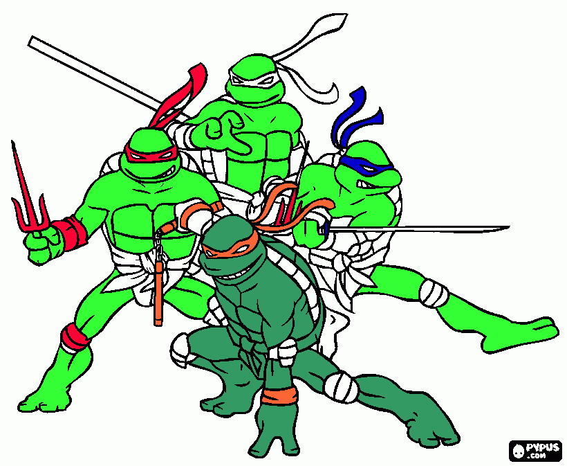 sy turtles coloring page