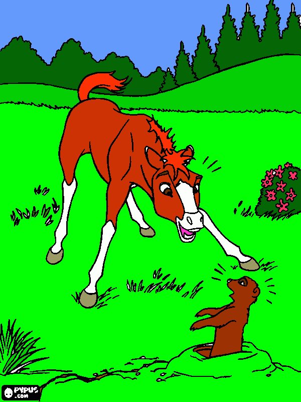 this is in Infinity as a foal coloring page