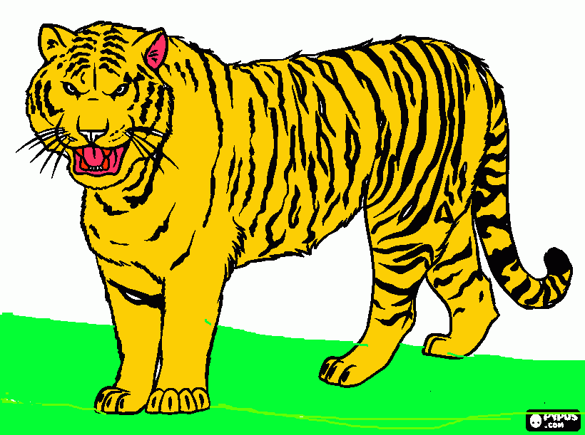 Tiger in the wild coloring page