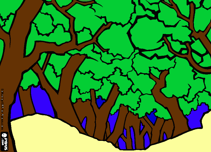 Trees coloring page