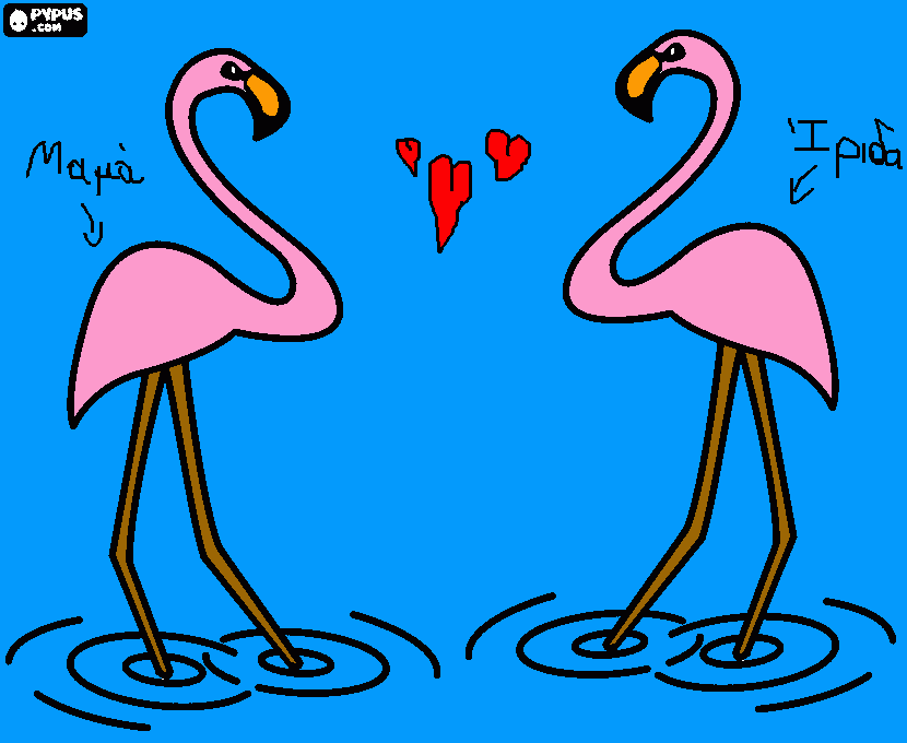 two-flamingos-in-the-water-big-aquatic-birds-with-pink-plumage coloring page
