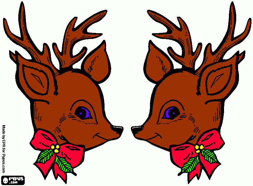 two reindeer coloring page