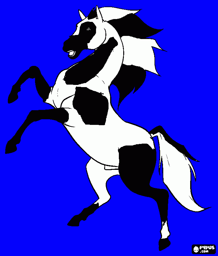 wild stallion coloring page