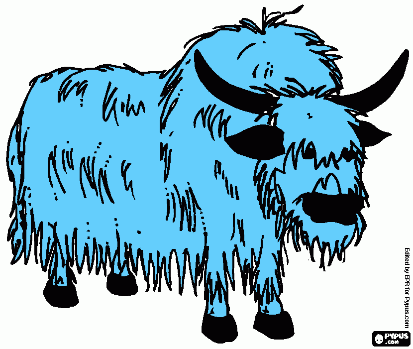 yak coloring page