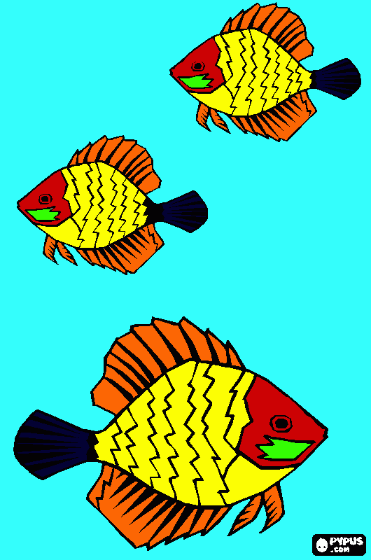 yellow fish coloring page
