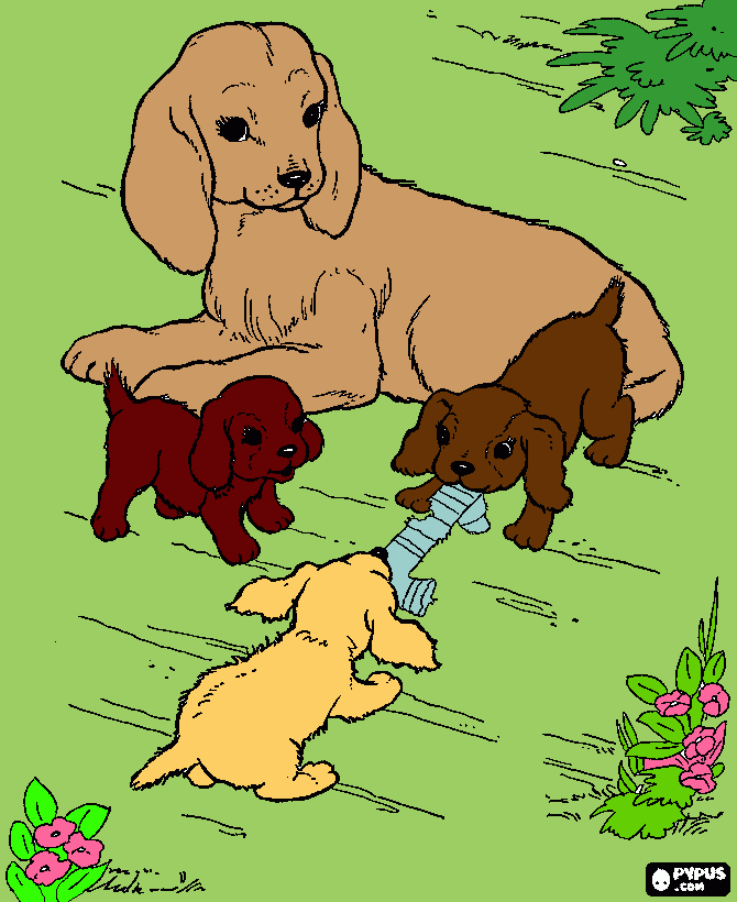 you are the big dog im the light brown one jeffs the dark brown and jade is the other one  coloring page