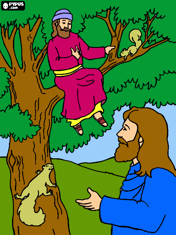 Zacchaeus coloring page