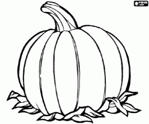 A big pumpkin, the fruit of the pumpkin plant native from America coloring page