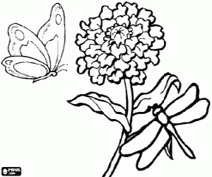A butterfly and a dragonfly flying over a flower coloring page