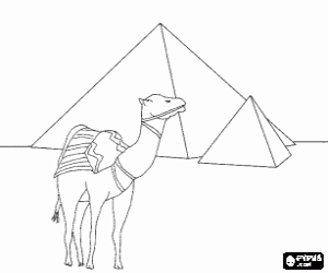 A camel in front of the pyramids, funerary monuments of Ancient Egypt coloring page