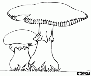 A large mushroom and a little one like a button mushroom coloring page