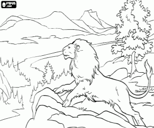 Aslan, the legendary lion creator of the country of Narnia coloring page