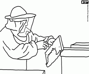 Beekeeper or apiarist working with the special suit in the hive to collect honey coloring page