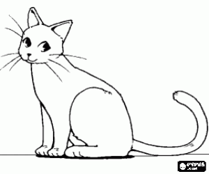 Cat moving the tail, side view coloring page