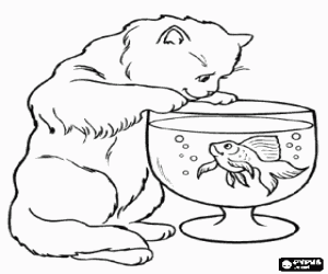 Cat watching a fish swimming in a fishbowl coloring page