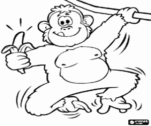 Chimpanzee hunged of one liana with a banana coloring page