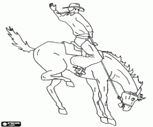 Cowboy riding a rearing horse in a rodeo coloring page