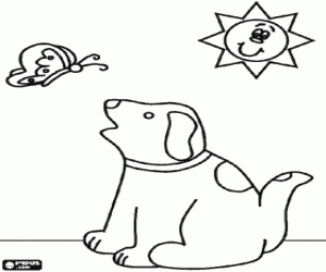 Dog with collar watching the flight of a butterfly under the sun coloring page