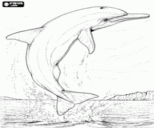 Dolphin jumping, with its body completely outside the water, in front of the coast coloring page