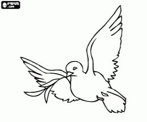Dove of Peace, a white dove is a traditional Christian and Jewish symbol fo love and peace coloring page