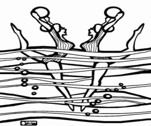 Duet performing their exercise in a synchronized swimming competition coloring page