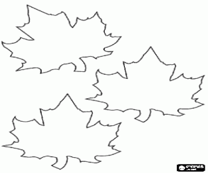Fallen leaves of maple, this leaf is part of the flag and a national symbol of Canada coloring page