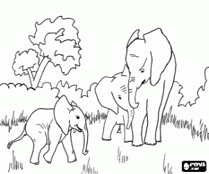 Family of elephants in a clearing in the jungle coloring page