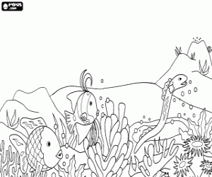Fish in the sea-beds among them an eel coloring page
