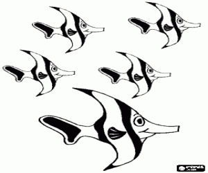 Fishes shoal near coral reefs coloring page