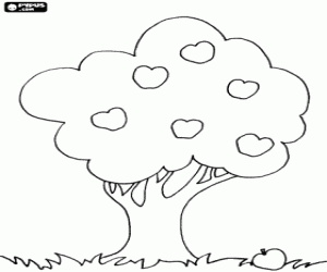 Fruit tree, rounded crown tree coloring page