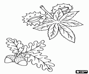 Fruits of autumn: acorns or oak nut and chestnuts coloring page