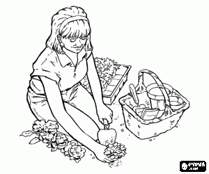 Gardener planting nursery flowers in the garden  coloring page