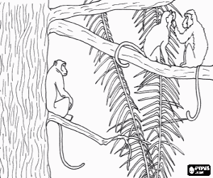 Group of monkeys of long tails on the branches of a tree coloring page