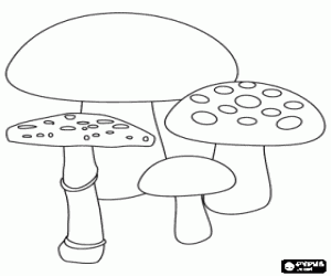 Group of mushrooms of different kinds coloring page