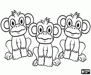 Group of three little monkeys with eyes and ears wide open coloring page