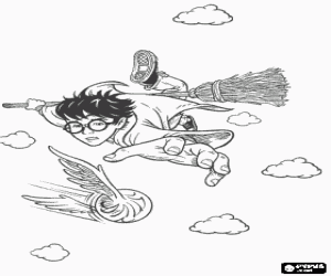 Harry Potter playing Quidditch with his magic broom as a hunter trying to catch the ball coloring page