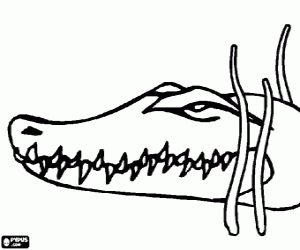 Head of a crocodile lying in wait for a prey among aquatic plants coloring page