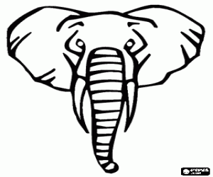 Head of adult elephant with long tusks coloring page