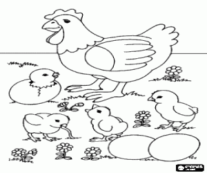 Hen with its chicks and its eggs in the field coloring page