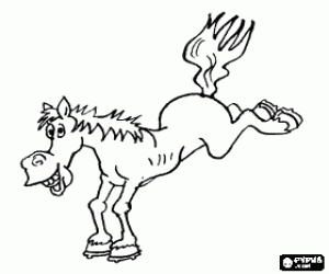 Horse jumping on his two front legs coloring page
