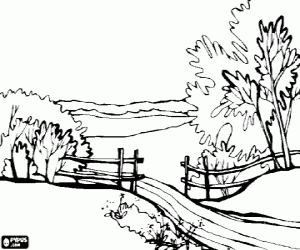 Landscape with trees, a track and a wood fence coloring page