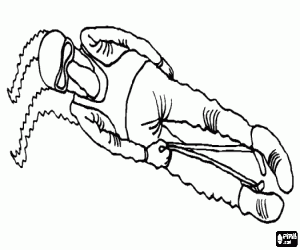 Luger or pilot in a luge race coloring page