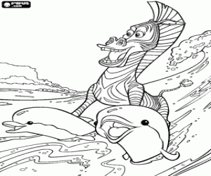 Marty the zebra surfing with the help of dolphins coloring page