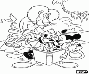Mickey and his friends Donald and Goofy in the jungle with a lion behind coloring page