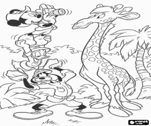Mickey Mouse with Goofy and Donald trying to take a photograph of the face of a giraffe coloring page
