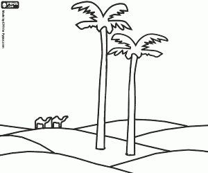 Palm trees in the dunes of the desert with camels in the distance coloring page